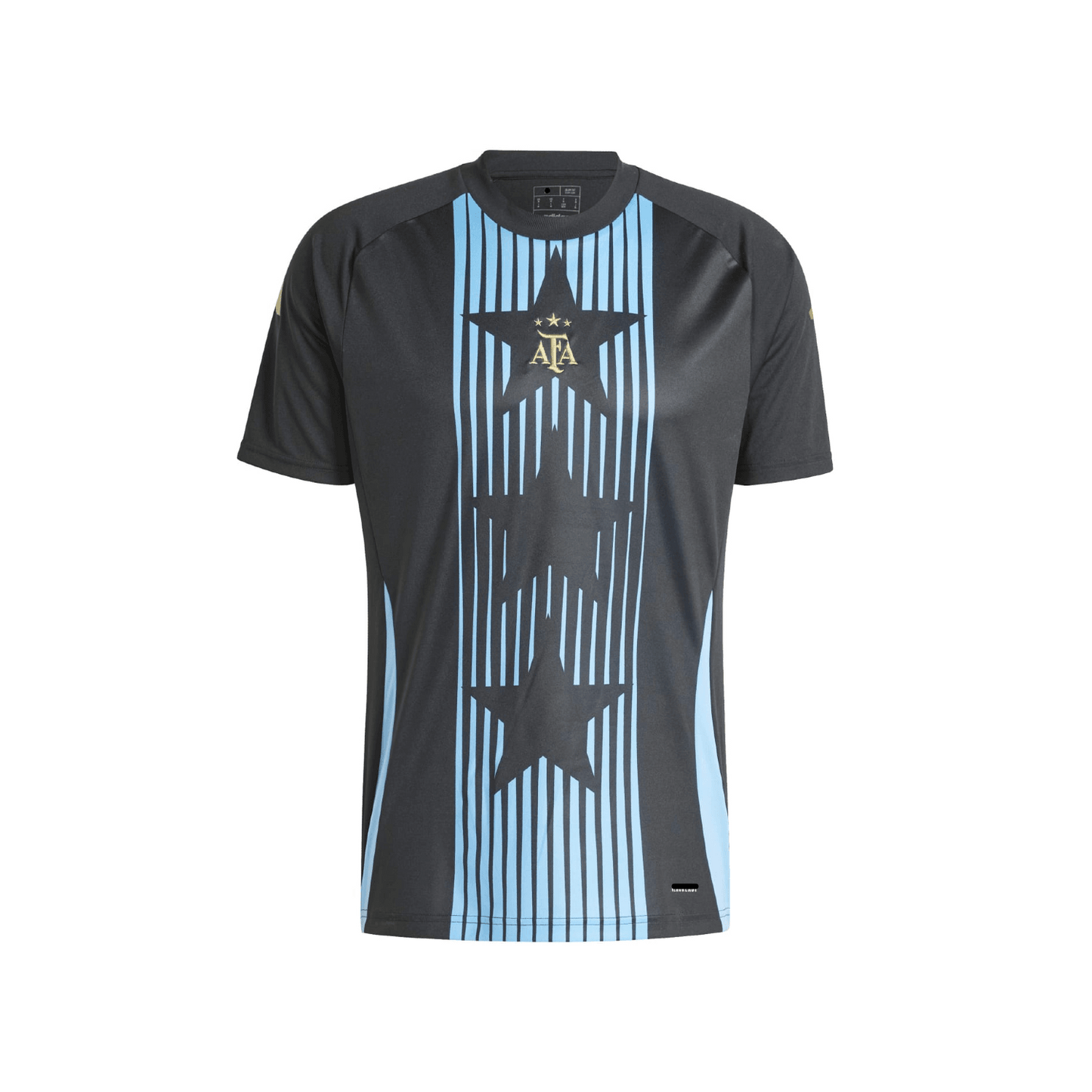 Argentina 2024 Camiseta Calentamiento - Hombre